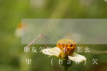 朋友欠及貸不還怎么舉報(bào)他(在哪里舉報(bào)欠貸款不還的人)