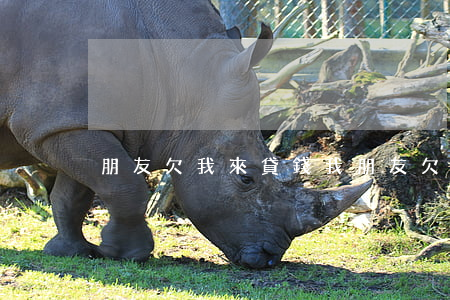 朋友欠我來貸錢(我朋友欠我錢)