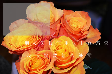 朋友欠我信用卡10万(欠朋友信用卡的钱,朋友报警,要怎么处罚)