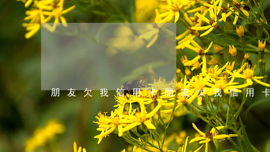 朋友欠我信用卡（朋友欠我信用卡）
