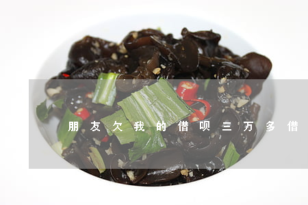 朋友欠我的借呗三万多(借呗欠三千)