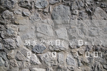 朋友欠我網(wǎng)貸還不起怎么辦(欠網(wǎng)貸實(shí)在還不起怎么辦)