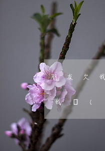 朋友欠我錢(qián)不還怎么辦(朋友欠我錢(qián)不還怎么辦沒(méi)有借條)