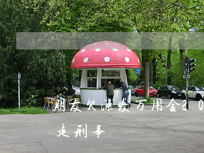 朋友欠浦发万用金20万(浦发万用金会不会走刑事)