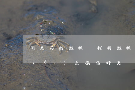 朋友欠的微粒貸找我(微粒貸逾期居然聯(lián)系微信好友)