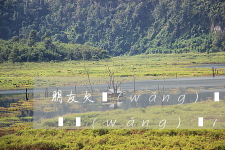 朋友欠網(wǎng)貸10萬還不起怎么辦(網(wǎng)貸10萬還不上怎么辦)