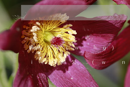 朋友欠網(wǎng)貸一年的悲慘結(jié)局(欠網(wǎng)貸經(jīng)歷)