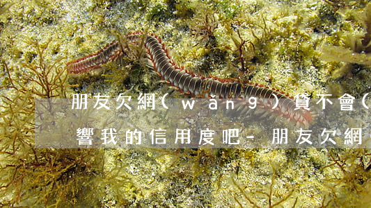 朋友欠網(wǎng)貸不會(huì)影響我的信用度吧-朋友欠網(wǎng)貸不會(huì)影響我的信用度吧怎么辦