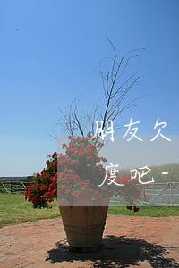 朋友欠網(wǎng)貸不會影響我的信用度吧-朋友欠網(wǎng)貸不會影響我的信用度吧怎么辦