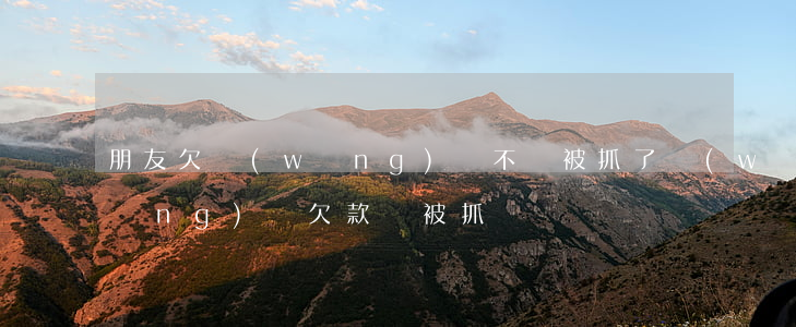 朋友欠網(wǎng)貸不還被抓了(網(wǎng)貸欠款會被抓嗎)