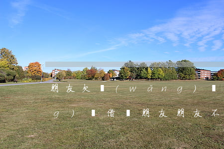 朋友欠網(wǎng)貸來借錢(網(wǎng)貸借給朋友 朋友不還了)