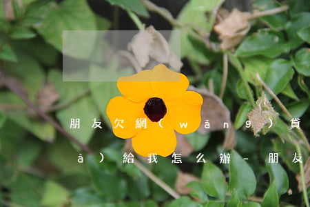 朋友欠網(wǎng)貸催債打電話(huà)給我怎么辦-朋友欠網(wǎng)貸催債打電話(huà)給我怎么辦呢