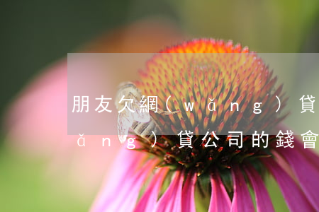 朋友欠網(wǎng)貸公司坐牢(欠網(wǎng)貸公司的錢會被起訴嗎?)