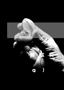 朋友欠網(wǎng)貸利息(欠網(wǎng)貸怎么跟朋友借錢)