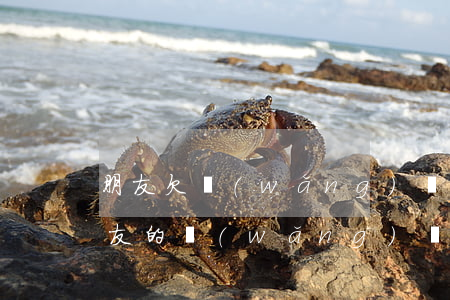 朋友欠網(wǎng)貸我被騷擾怎么辦(朋友的網(wǎng)貸沒(méi)還好多騷擾電話怎么辦)