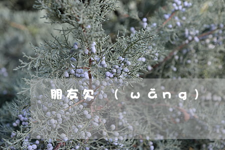 朋友欠網(wǎng)貸會不會影響我