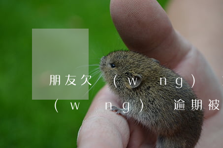 朋友欠網(wǎng)貸炸我驗證碼報警(網(wǎng)貸逾期被短信驗證碼轟炸)