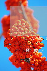 朋友欠網(wǎng)貸留我電話怎么處理騷擾-朋友欠網(wǎng)貸留我電話怎么處理騷擾他