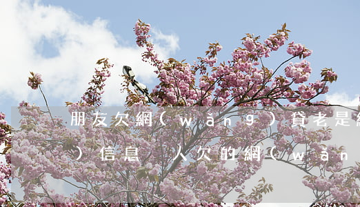朋友欠網(wǎng)貸老是給我發(fā)信息(別人欠的網(wǎng)貸給我發(fā)信息)