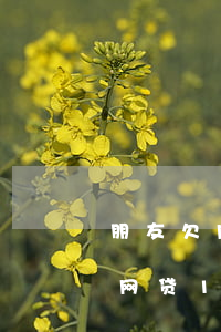 朋友欠网贷10万还不起该怎么办-朋友欠网贷10万还不起该怎么办呢