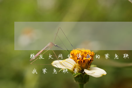 朋友欠网贷填我的紧急联系人(朋友借网贷填我紧急联系人)