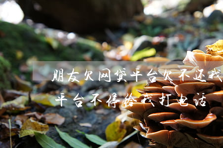 朋友欠网贷平台欠不还我被骚扰(朋友欠网贷平台不停给我打电话)