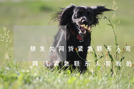 朋友欠网贷紧急联系人写我的号码-朋友欠网贷紧急联系人写我的号码有影响吗