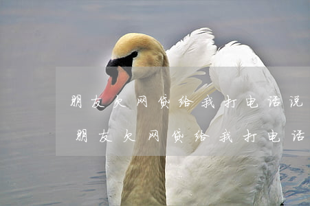 朋友欠网贷给我打电话说他借钱给我看病-朋友欠网贷给我打电话说他借钱给我看病了