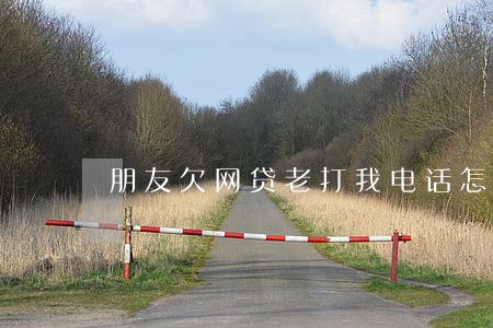 朋友欠网贷老打我电话怎么回复-