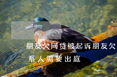朋友欠网贷被起诉(朋友欠网贷被起诉紧急联系人需要出庭?)