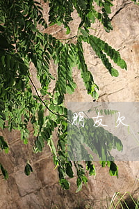 朋友欠螞蟻借唄給自己發(fā)短信