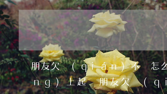朋友欠錢(qián)不還怎么在網(wǎng)上起訴（朋友欠錢(qián)不還網(wǎng)上起訴）