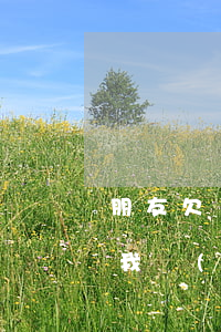 朋友欠錢(qián)去哪里起訴-朋友欠我錢(qián)不還怎么起訴怎么聯(lián)系他的家人