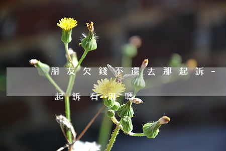朋友欠錢不還去那起訴-朋友欠錢不還去那起訴有用嗎