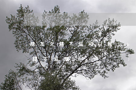 朋友欠錢不還可以報(bào)警嗎(朋友欠錢不還現(xiàn)在聯(lián)系不上可以報(bào)警嗎)