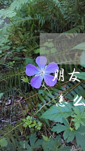 朋友欠錢不還怎么寫起訴書(欠錢不還起訴狀怎么寫?)