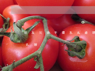 朋友欠錢不還怎么處理(對于朋友欠錢不還怎么辦)