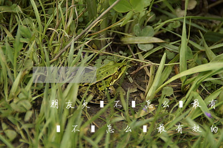 朋友欠錢不還怎么辦最有效的方法-朋友欠錢不還怎么辦最有效的方法微信
