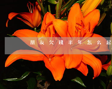 朋友欠錢半年怎么起訴