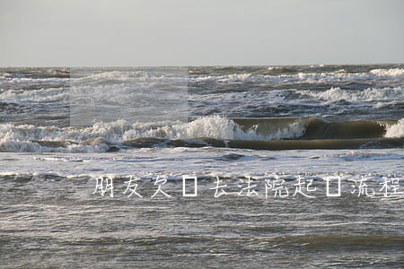 朋友欠錢去法院起訴流程（朋友欠錢去起訴）