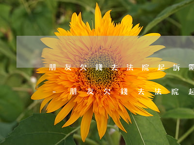 朋友欠錢去法院起訴需要什么手續(xù)-朋友欠錢去法院起訴需要什么手續(xù)和證據(jù)