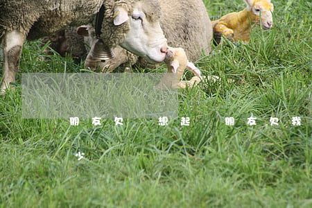 朋友欠錢想起訴(朋友欠我錢去法院起訴要多少錢)