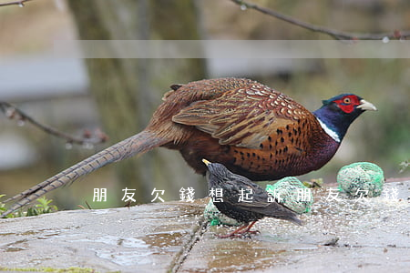 朋友欠錢想起訴(朋友欠錢想起訴怎么辦)