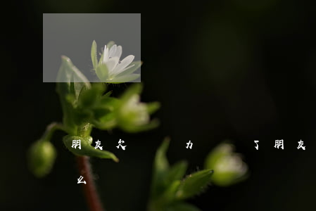 朋友欠錢無力償還了(朋友欠我錢沒能力還怎么辦)