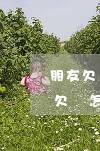 朋友欠錢起訴他用花律師費和起訴費么（朋友欠錢怎么起訴他）