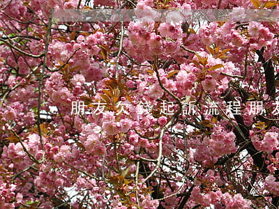 朋友欠錢起訴流程（朋友欠錢起訴他去哪）