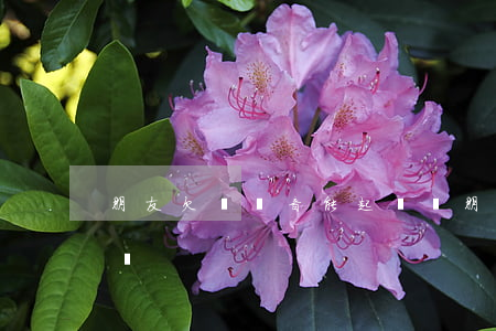 朋友欠錢錄音能起訴嗎(朋友欠錢錄音能起訴嗎)