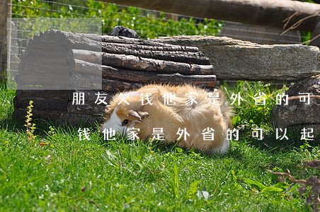 朋友欠钱他家是外省的可以起诉吗-朋友欠钱他家是外省的可以起诉吗怎么办