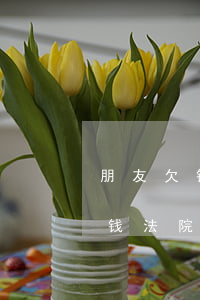 朋友欠钱法院起诉没钱还怎么解决-朋友欠钱法院起诉,无力偿还