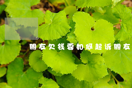 朋友欠钱要如何起诉(朋友欠钱要如何起诉他)